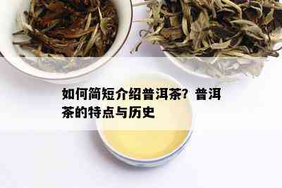 如何简短介绍普洱茶？普洱茶的特点与历史