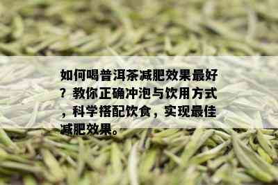 如何喝普洱茶减肥效果更好？教你正确冲泡与饮用方式，科学搭配饮食，实现更佳减肥效果。