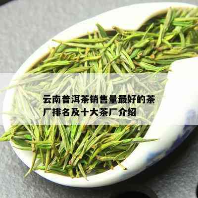 云南普洱茶销售量更好的茶厂排名及十大茶厂介绍