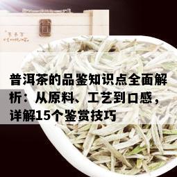 普洱茶的品鉴知识点全面解析：从原料、工艺到口感，详解15个鉴赏技巧