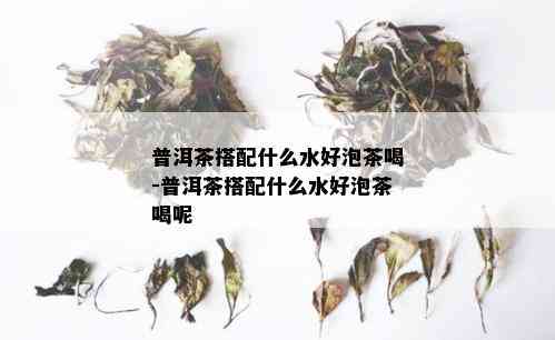 普洱茶搭配什么水好泡茶喝-普洱茶搭配什么水好泡茶喝呢