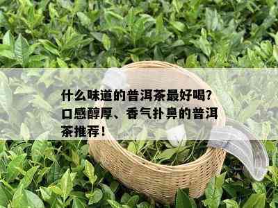 什么味道的普洱茶更好喝？口感醇厚、香气扑鼻的普洱茶推荐！