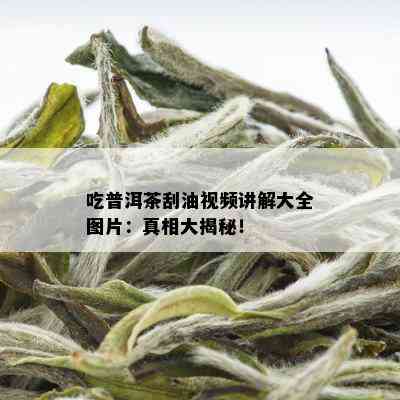 吃普洱茶刮油视频讲解大全图片：真相大揭秘！