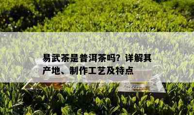 易武茶是普洱茶吗？详解其产地、制作工艺及特点