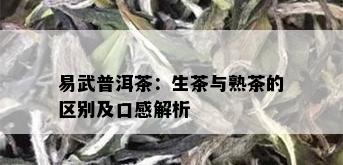 易武普洱茶：生茶与熟茶的区别及口感解析