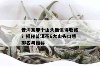 普洱茶那个山头最值得收藏？揭秘普洱茶6大山头口感排名与推荐