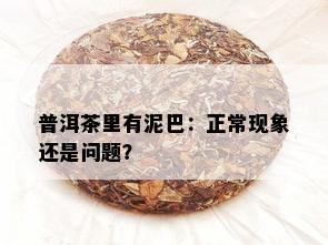 普洱茶里有泥巴：正常现象还是问题？