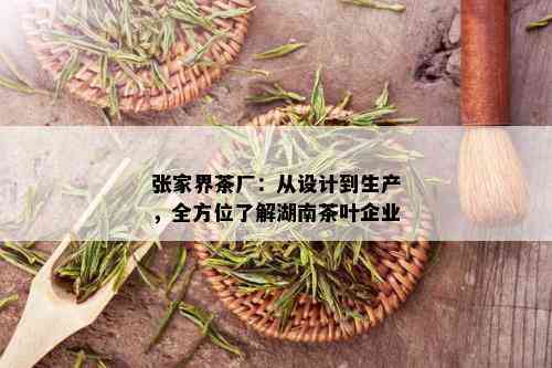 张家界茶厂：从设计到生产，全方位了解湖南茶叶企业