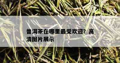 普洱茶在哪里更受欢迎？高清图片展示