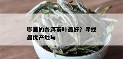 哪里的普洱茶叶更好？寻找更优产地与