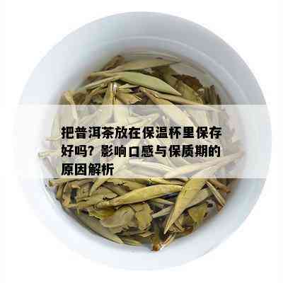 把普洱茶放在保温杯里保存好吗？影响口感与保质期的原因解析