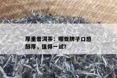 厚重普洱茶：哪些牌子口感醇厚，值得一试？