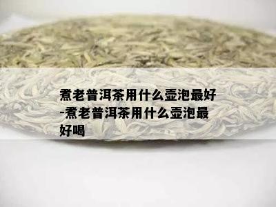 煮老普洱茶用什么壶泡更好-煮老普洱茶用什么壶泡更好喝