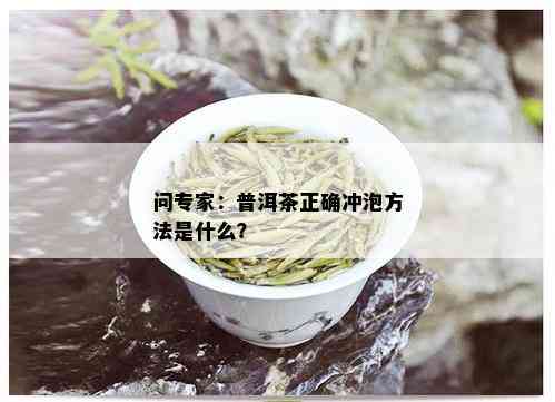 问专家：普洱茶正确冲泡方法是什么？