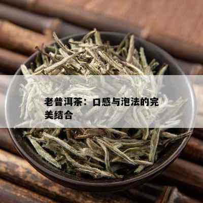 老普洱茶：口感与泡法的完美结合