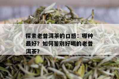 探索老普洱茶的口感：哪种更好？如何鉴别好喝的老普洱茶？