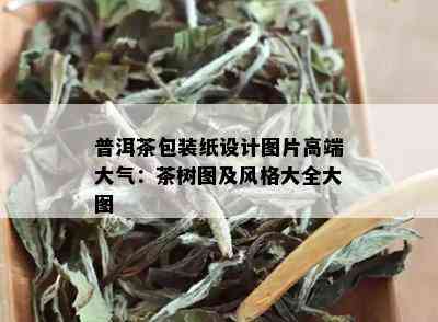 普洱茶包装纸设计图片高端大气：茶树图及风格大全大图