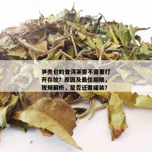 笋壳包的普洱茶需不需要打开存放？原因及更佳期限，视频解析，是否还需罐装？