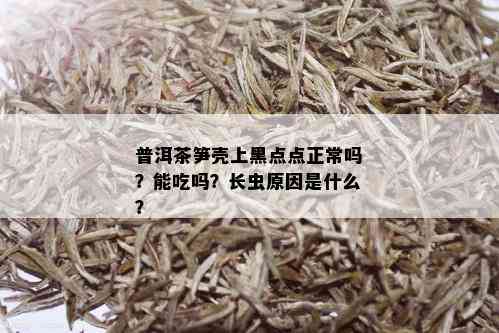 普洱茶笋壳上黑点点正常吗？能吃吗？长虫原因是什么？