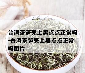 普洱茶笋壳上黑点点正常吗-普洱茶笋壳上黑点点正常吗图片