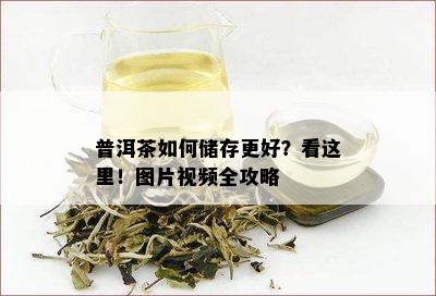 普洱茶如何储存更好？看这里！图片视频全攻略