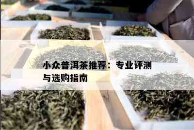 小众普洱茶推荐：专业评测与选购指南