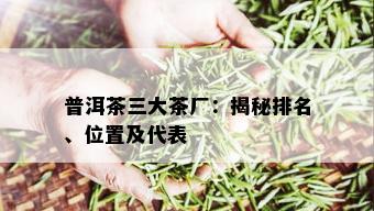 普洱茶三大茶厂：揭秘排名、位置及代表