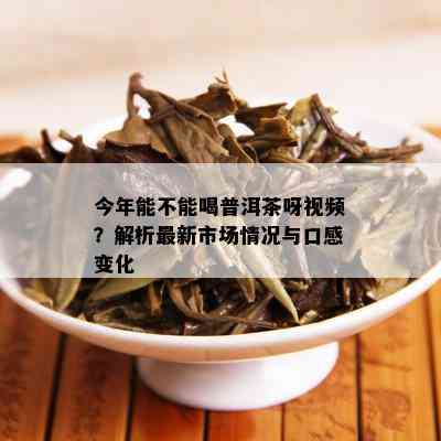 今年能不能喝普洱茶呀视频？解析最新市场情况与口感变化