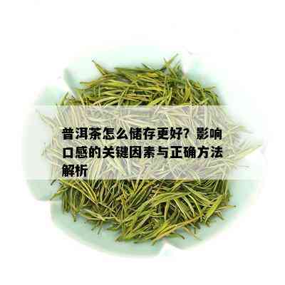 普洱茶怎么储存更好？影响口感的关键因素与正确方法解析