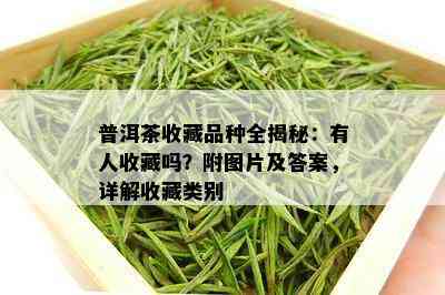 普洱茶收藏品种全揭秘：有人收藏吗？附图片及答案，详解收藏类别