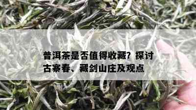 普洱茶是否值得收藏？探讨古寨春、藏剑山庄及观点