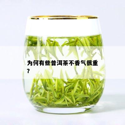 为何有些普洱茶不香气很重？