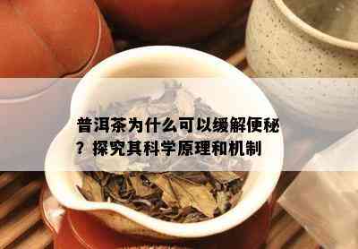 普洱茶为什么可以缓解便秘？探究其科学原理和机制