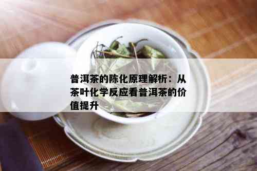 普洱茶的陈化原理解析：从茶叶化学反应看普洱茶的价值提升