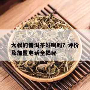 大叔的普洱茶好喝吗？评价及加盟电话全揭秘