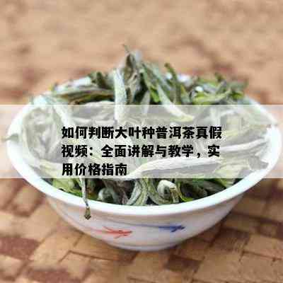 如何判断大叶种普洱茶真假视频：全面讲解与教学，实用价格指南