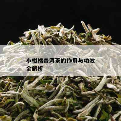 小柑橘普洱茶的作用与功效全解析