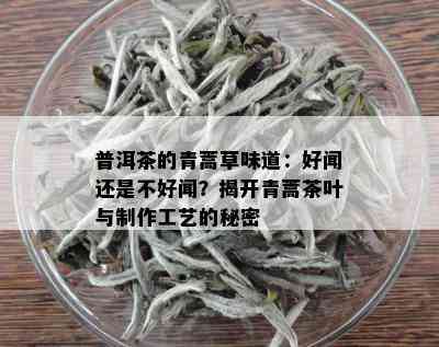 普洱茶的青蒿草味道：好闻还是不好闻？揭开青蒿茶叶与制作工艺的秘密