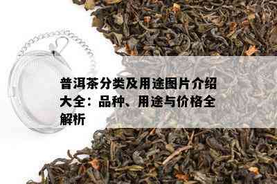 普洱茶分类及用途图片介绍大全：品种、用途与价格全解析