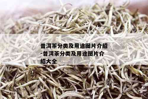 普洱茶分类及用途图片介绍-普洱茶分类及用途图片介绍大全