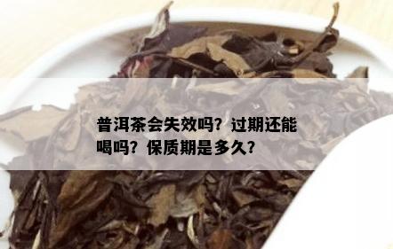 普洱茶会失效吗？过期还能喝吗？保质期是多久？