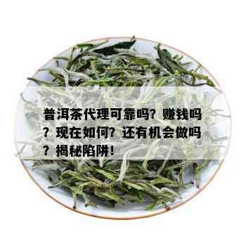 普洱茶代理可靠吗？赚钱吗？现在如何？还有机会做吗？揭秘陷阱！