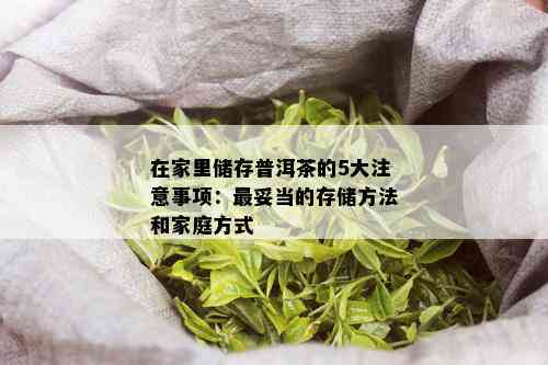 在家里储存普洱茶的5大注意事项：最妥当的存储方法和家庭方式