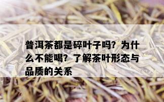 普洱茶都是碎叶子吗？为什么不能喝？了解茶叶形态与品质的关系