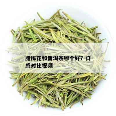 腊梅花和普洱茶哪个好？口感对比视频