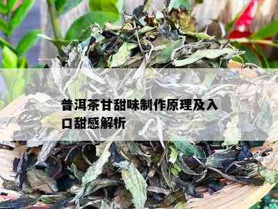 普洱茶甘甜味制作原理及入口甜感解析