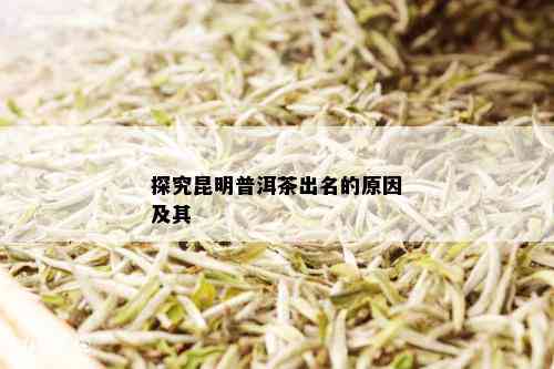 探究昆明普洱茶出名的原因及其