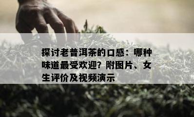 探讨老普洱茶的口感：哪种味道更受欢迎？附图片、女生评价及视频演示