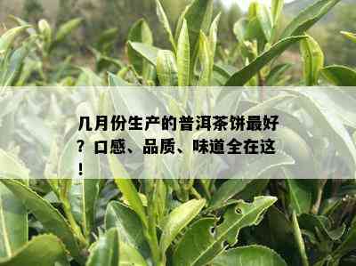 几月份生产的普洱茶饼更好？口感、品质、味道全在这！