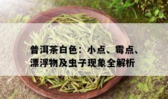 普洱茶白色：小点、霉点、漂浮物及虫子现象全解析